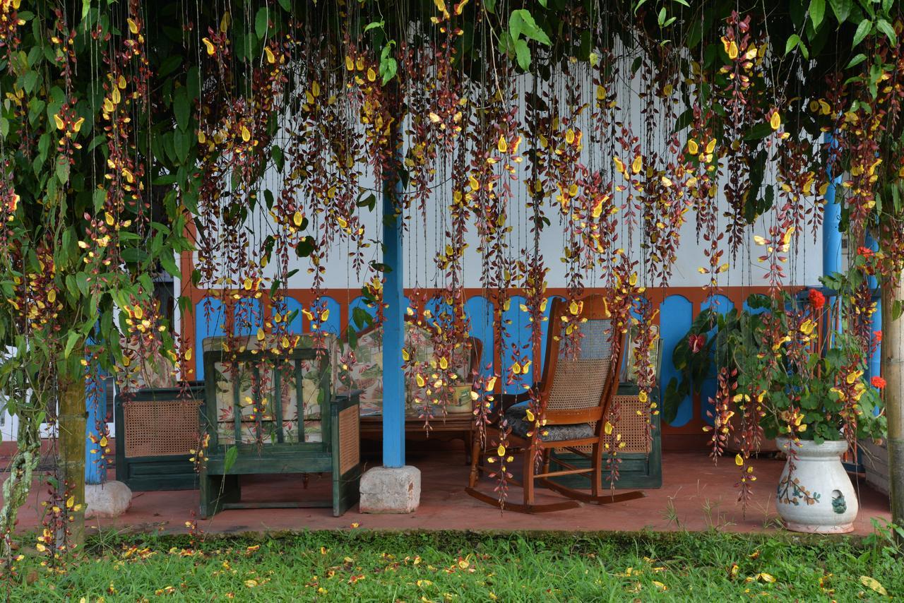 Balsora Hotel Boutique El Edén Extérieur photo
